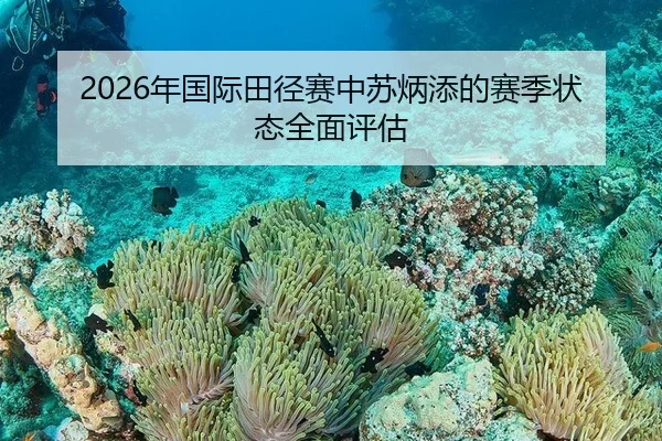 2026年国际田径赛中苏炳添的赛季状态全面评估