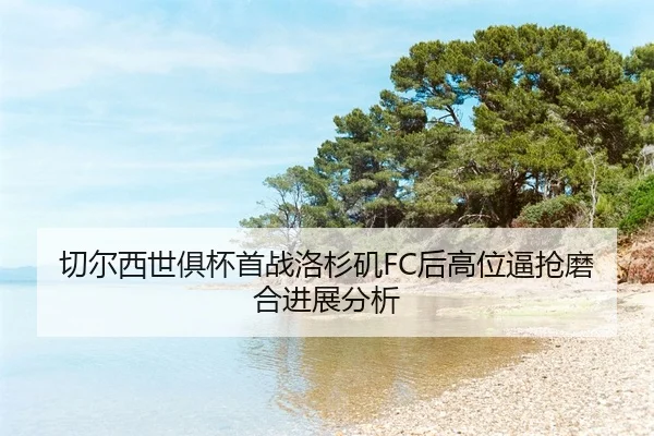 qie-er-xi-shi-ju-bei-shou-zhan-luo-shan-ji-hou-gao-wei-bi-qiang-mo-he-jin-zhan-fen-xi-2-534.jpg